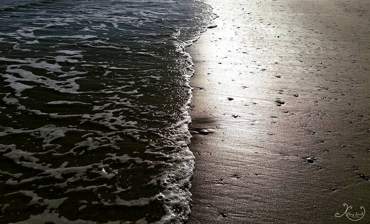 Beach Tide Photograph