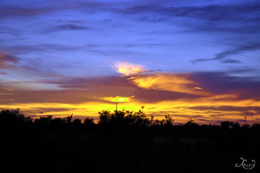 Blue Sunset Photograph