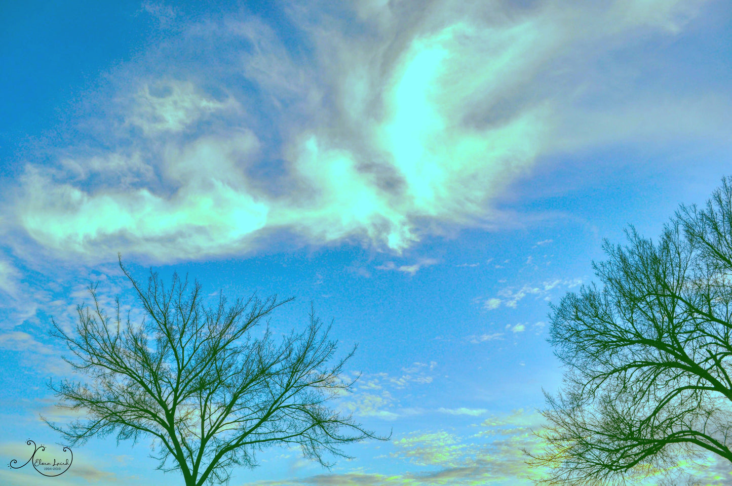 Butterfly in the Clouds