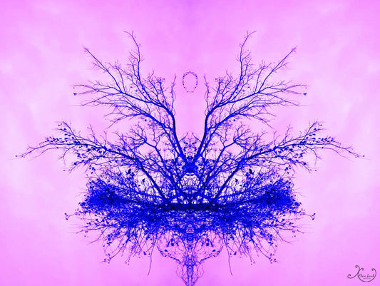 Pink and Blue Branches Photograph