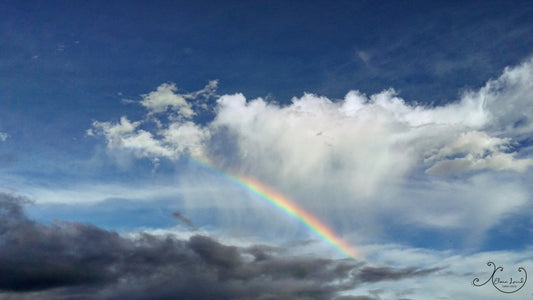 Rainbow in the Storm Photograph