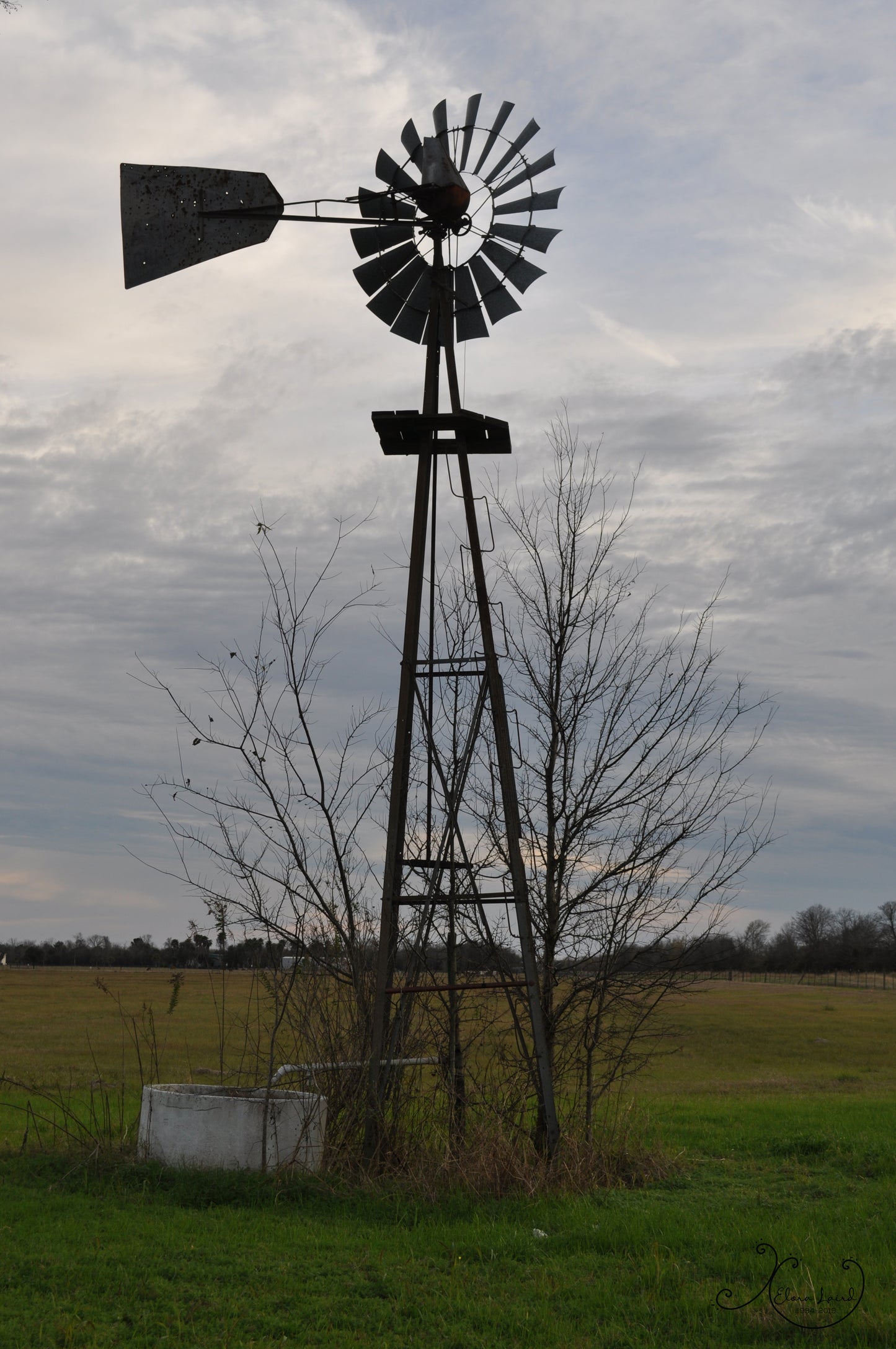 Windmill Photograph