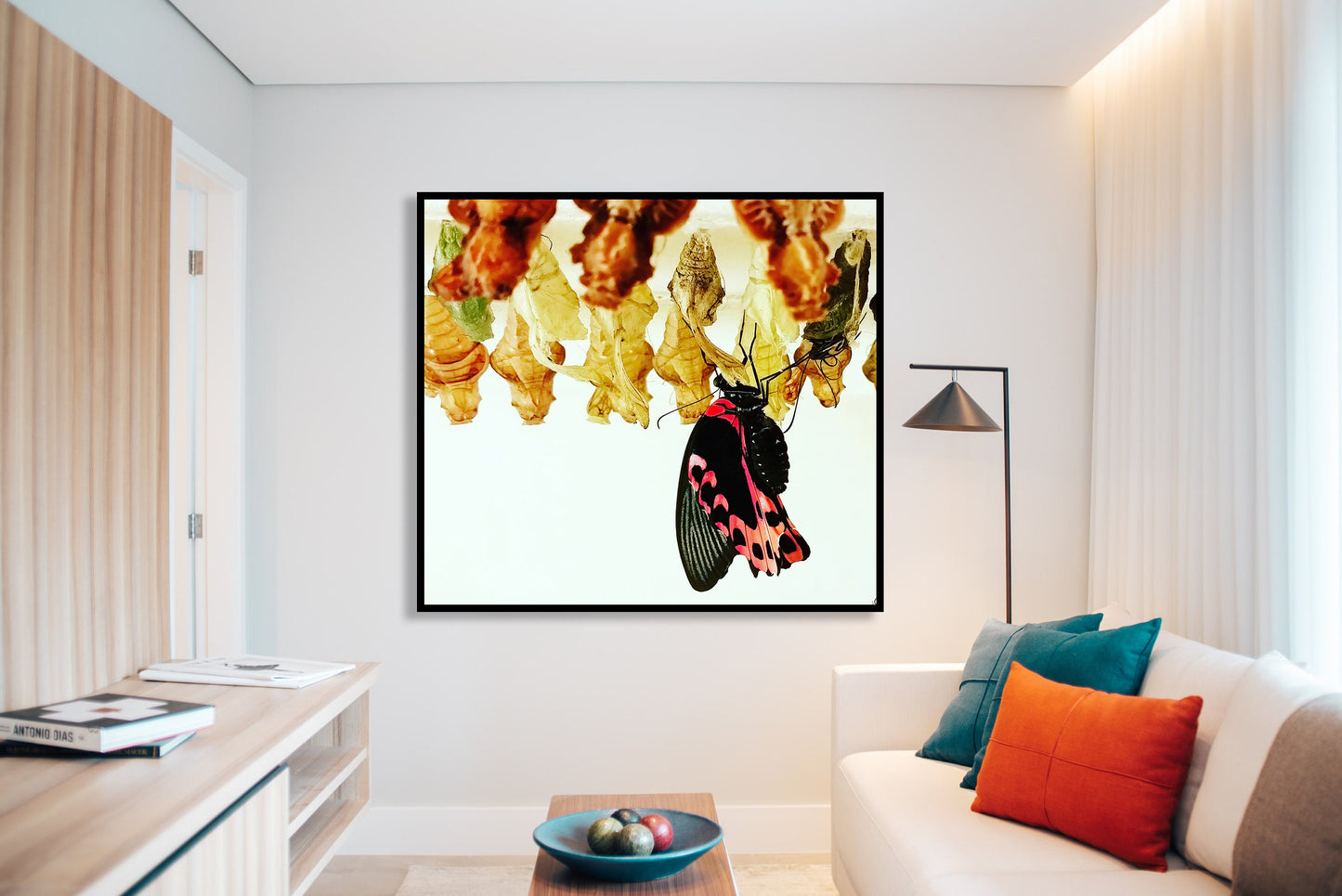 Emerging Butterfly Photo Art Print