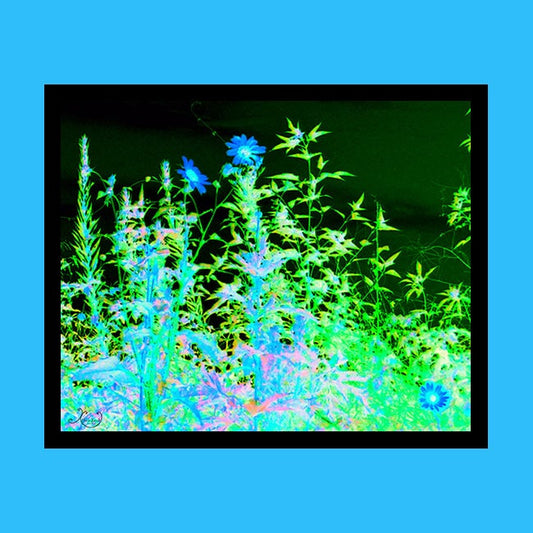 Neon Flowers Photograph