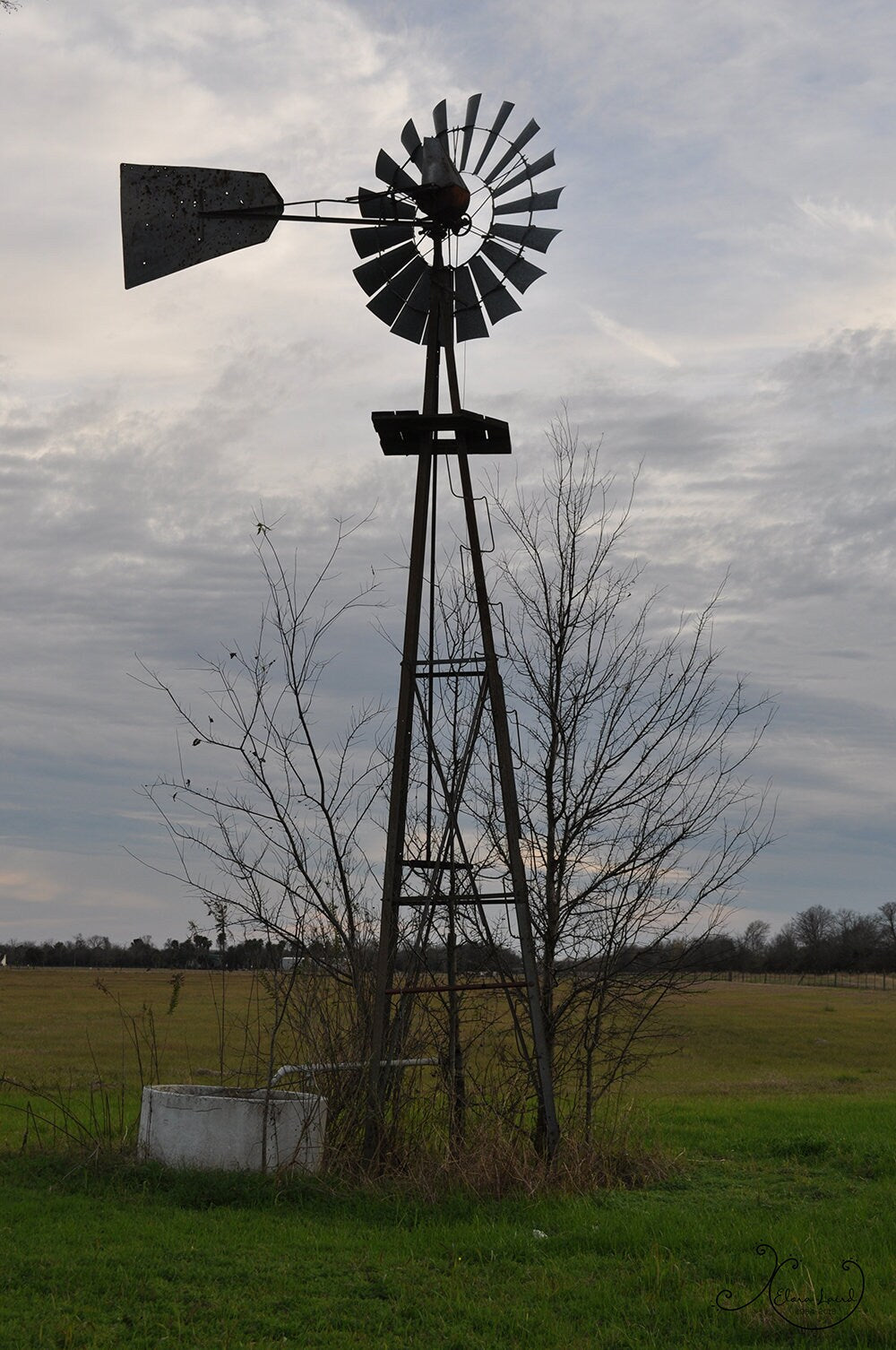 Windmill Diamond Dot Art